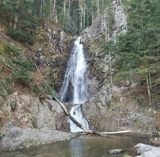 Appartement Studio Bussang