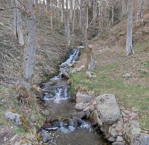 Studio Bussang Appartement Bussang