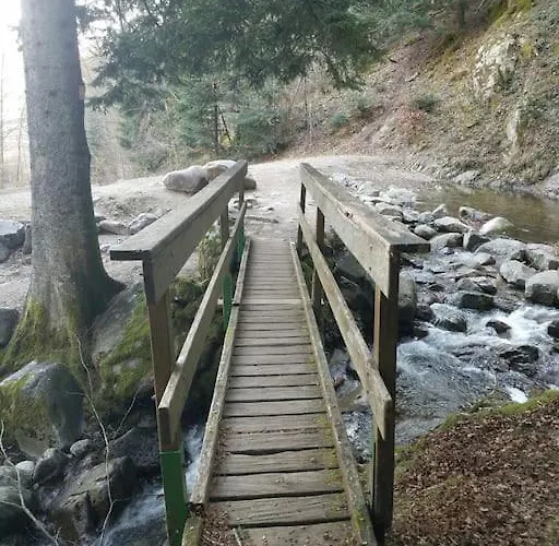 Appartement Studio Bussang Bussang