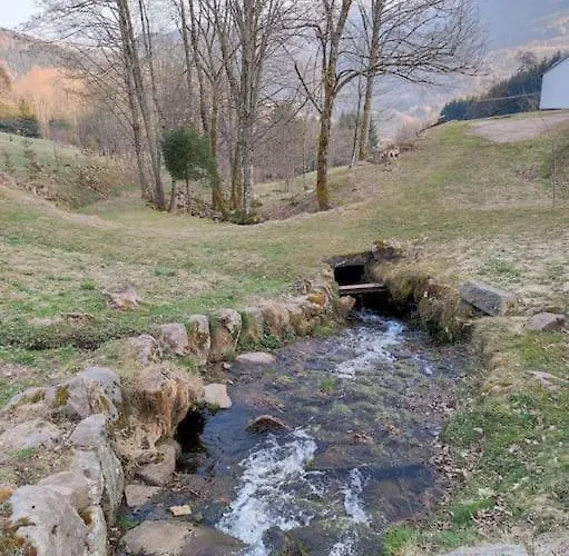 Studio Bussang Appartement